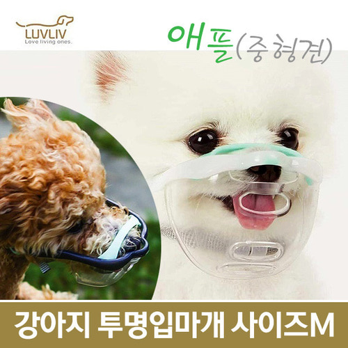 컴포트 편한 강아지 산책 투명입마개 마우스핏 애플